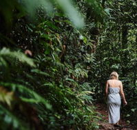 Daintree Ecolodge - Melbourne Tourism