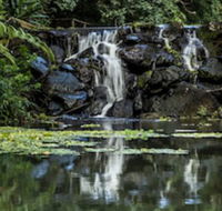 Kondalilla Eco Resort - Melbourne Tourism