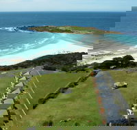 Diamond Island Resort  Bicheno Penguin Show - Melbourne Tourism