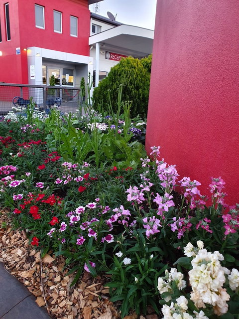 City Golf Club Motel - Melbourne Tourism 2