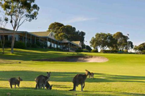 Early Settlers Motel Tocumwal - Melbourne Tourism 6