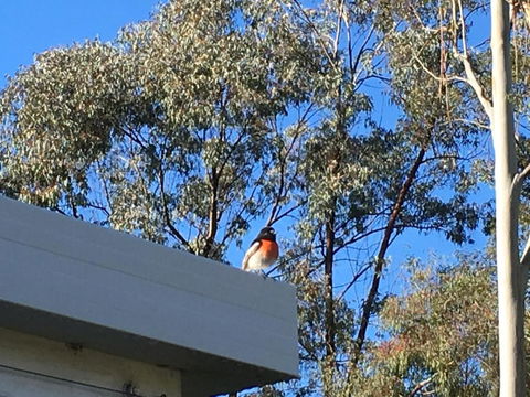 Applegate Lane Chalet - Melbourne Tourism 1