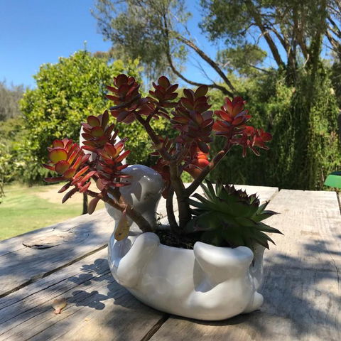The Fingal Farm - Melbourne Tourism 3