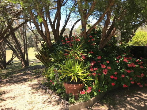 The Fingal Farm - Melbourne Tourism 6