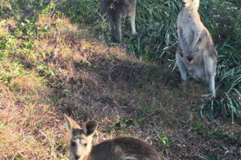 Lookout Unit 7 - Melbourne Tourism 3