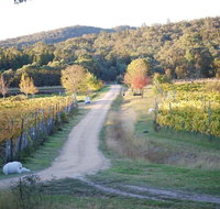 Twisted Gum Cottage - Melbourne Tourism