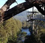 Tahune Air Walk Lodge - Melbourne Tourism