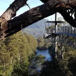 Tahune Air Walk Lodge - Melbourne Tourism 0
