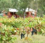 Fergies Hill Spa Cottage at Granite Ridge Wines - Melbourne Tourism