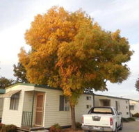 Wodonga Caravan  Cabin Park - Melbourne Tourism