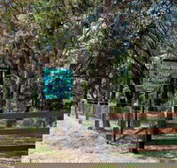 Blueberry Hills On Comleroy - Melbourne Tourism