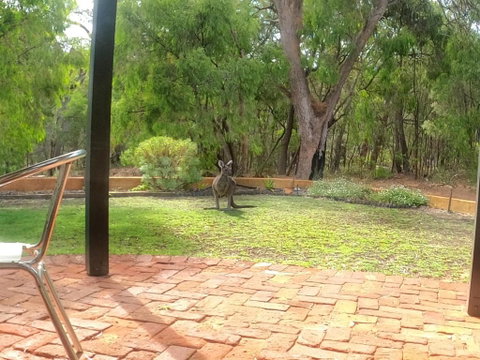 Yallingup Pet Friendly Bush Retreat - Melbourne Tourism 5