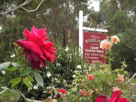Woodlands Of Bridgetown B & B - Melbourne Tourism 5