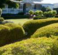 Whiskey Gully Wines - Melbourne Tourism
