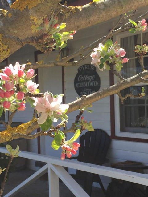 Coonawarras Pyrus Cottage - Melbourne Tourism 4