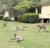 Depot Beach Cabins - Melbourne Tourism