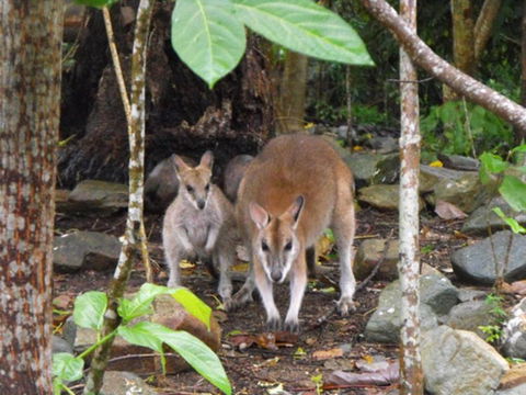 Yachtsmans Paradise Whitsundays - Melbourne Tourism 6