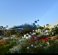 Labertouche Gypsy Creek Winery - Melbourne Tourism