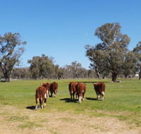 Jindera Park - Melbourne Tourism