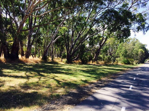 Echuca Moama Holiday Accommodation 3 - Melbourne Tourism 2