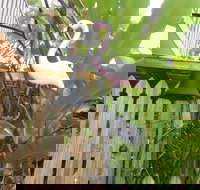 Seaside Hideaway at Clifton Beach - Melbourne Tourism