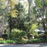 Two Sisters Chalets - Melbourne Tourism 1