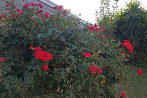 6-Bedroom House Singleton Hunter Valley - Melbourne Tourism 6