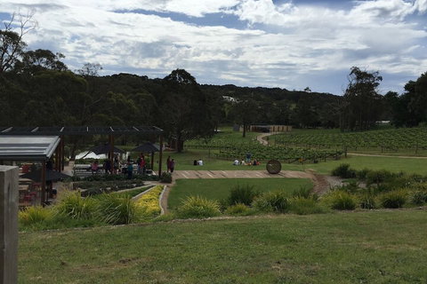 Aquawaters House By Barefoot Beach Stays - Melbourne Tourism 5