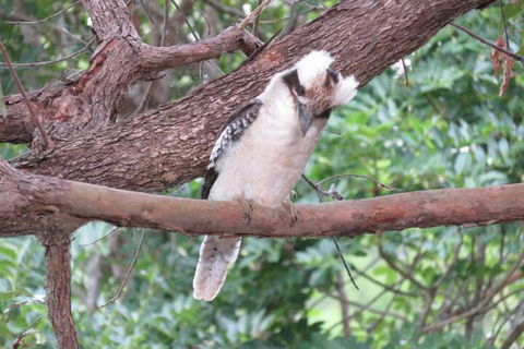 Keillor Lodge - Melbourne Tourism 2