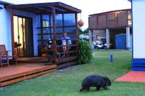 BIG4 Kelso Sands Holiday Park - Melbourne Tourism 0