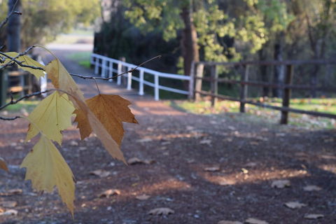 Brockman Park Estate - Melbourne Tourism 3