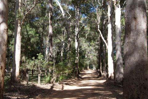 Karrak Reach Forest Retreat - Melbourne Tourism 4