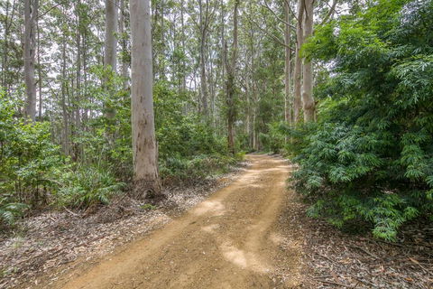 Karrak Reach Forest Retreat - Melbourne Tourism 3