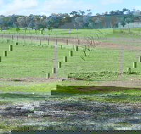 Yea Woodduck Cottage - Melbourne Tourism