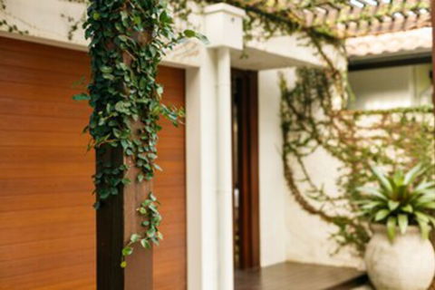 ESPRIT 2 PALM COVE BRAND NEW - Melbourne Tourism 0