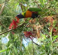 Clifton Beach Retreat - Melbourne Tourism