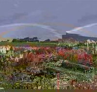 Boat Harbour Garden Cottages - Melbourne Tourism