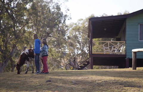 Bestbrook Mountain Resort - Melbourne Tourism 4