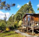 Southern Forest Accommodation - Melbourne Tourism