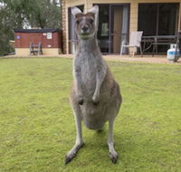 Yelverton Brook Conservation Sanctuary - Melbourne Tourism