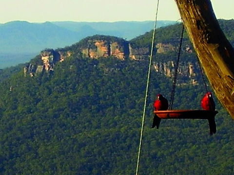 Valley Of The Waters B&B - Melbourne Tourism 3