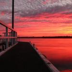 Fairy Wren Cottage Country To Coast Retreat - Melbourne Tourism 0