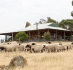 Gilgraves Vineyard Farmstay - Melbourne Tourism