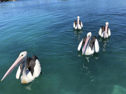 Aquarius 9 Opposite Wallis Lake - Melbourne Tourism 6
