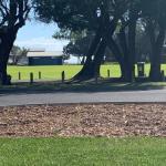 Yaringa Cottage...by The Sea - Melbourne Tourism 0
