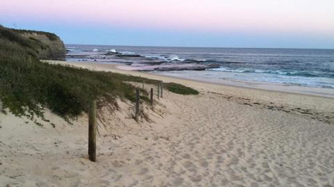 Lighthouse Palms - Melbourne Tourism 4