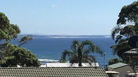 Lighthouse Palms - Melbourne Tourism 5