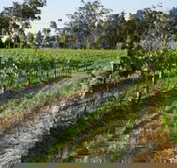 Renovated Cottage Aberdare Hunter Valley - Melbourne Tourism