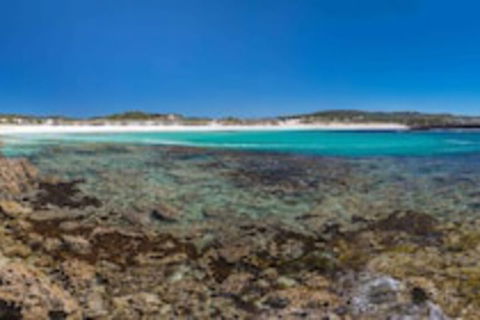 Hanson Bay Wildlife Sanctuary And Cabins - Melbourne Tourism 0