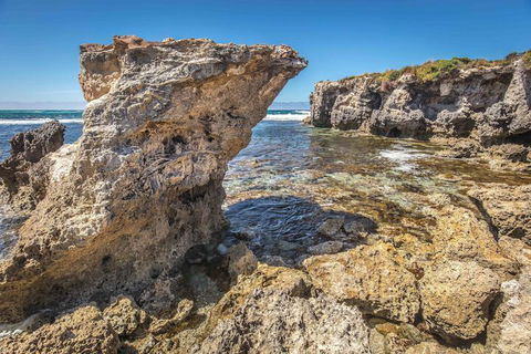 Hanson Bay Wildlife Sanctuary And Cabins - Melbourne Tourism 2
